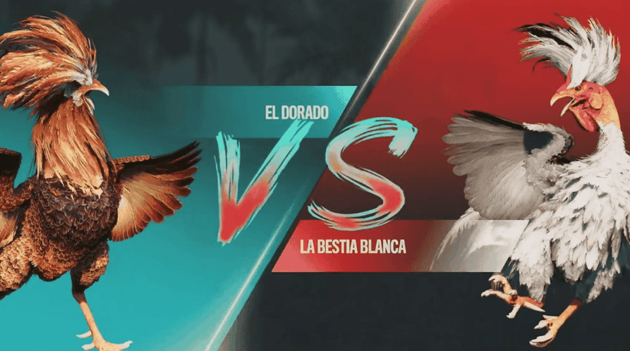 2933 online jogos plataforma